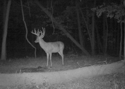 wta_2085_Ohio 5