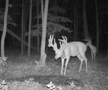 wta_2085_Ohio 6