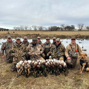 wta_2086_Greenheads