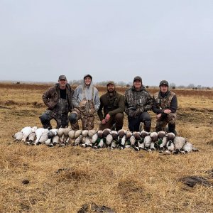 wta_2086_Pure Combo hunt