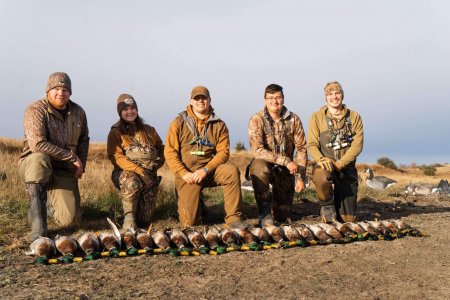 wta_2086_Sunny Greenheads