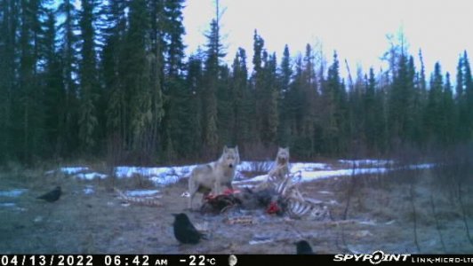 wta_2091_Image-1 (1)