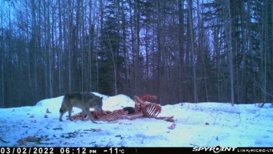 wta_2091_Image-1 (10)