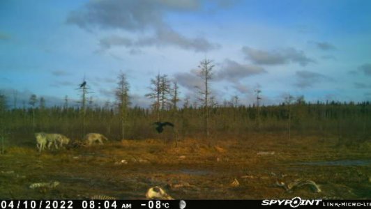 wta_2091_Image-1 (3)