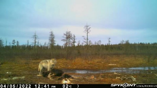 wta_2091_Image-1 (7)