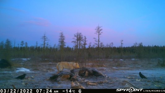 wta_2091_Image-1 (8)