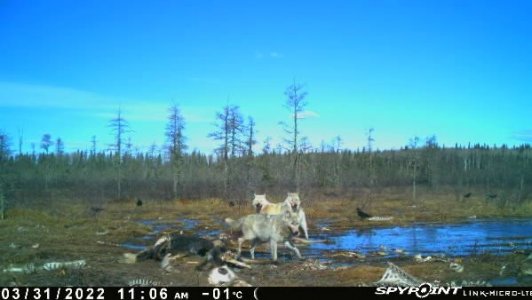 wta_2091_Image-1 (9)