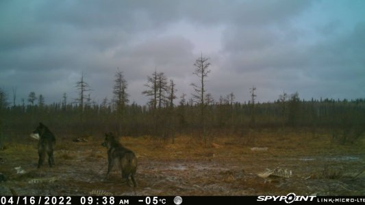 wta_2091_Image-1