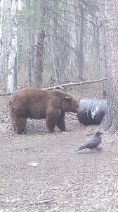 wta_2092_IMG-6238 (2)