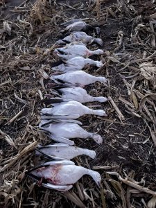wta_2095_IMG_0319