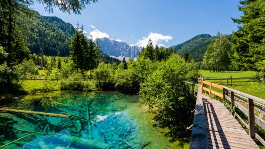 Teich mit Bäumen auf der Alm