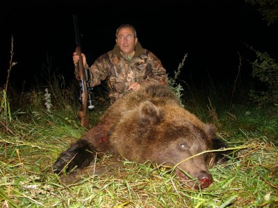 wta_2101_bear4-scaled