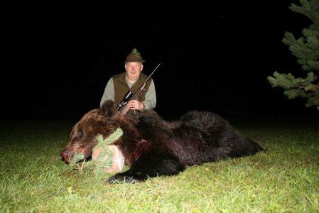 wta_2101_bear9-scaled