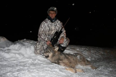 wta_2101_wolf6-scaled