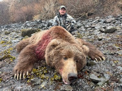 Spring 2024 Brown Bear