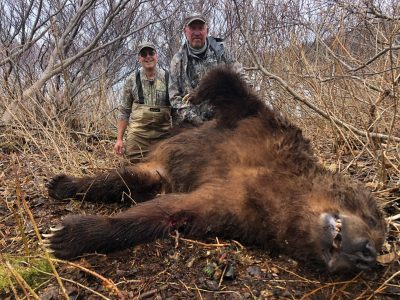 wta_2129_Paul Brand - bear on back