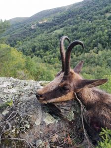 wta_2130_WhatsApp Image 2022-06-24 at 8.51.35 AM