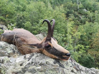 wta_2130_WhatsApp Image 2022-06-24 at 8.51.45 AM