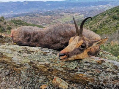 wta_2130_WhatsApp Image 2022-06-24 at 8.52.50 AM (1)