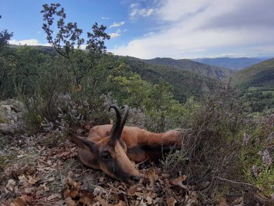 wta_2130_WhatsApp Image 2022-06-24 at 8.52.50 AM (3)