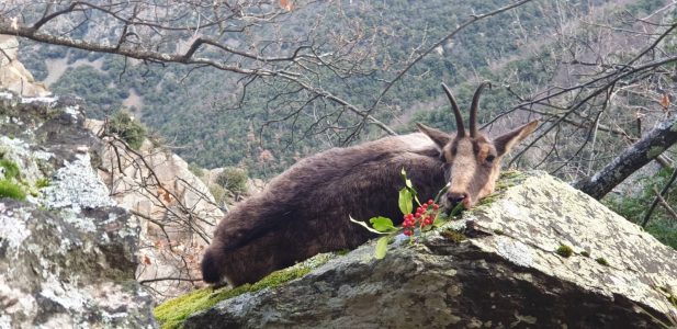 wta_2130_WhatsApp Image 2022-06-24 at 8.52.50 AM (4)