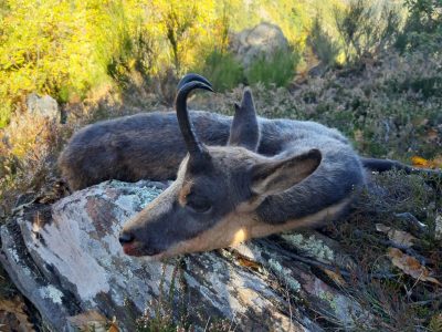 wta_2130_WhatsApp Image 2022-06-24 at 8.52.50 AM (6)