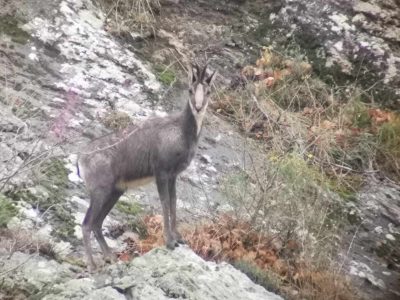 wta_2130_WhatsApp Image 2022-06-24 at 8.52.50 AM