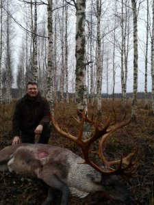 wta_2134_raindeer1
