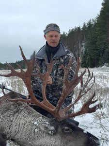 wta_2134_raindeer2