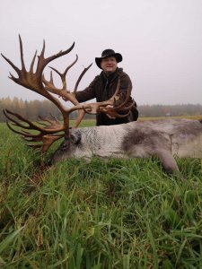 wta_2134_raindeer4
