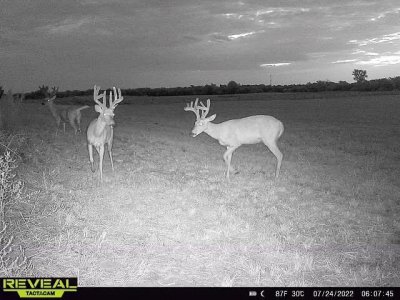 wta_2179_phire creek ks9