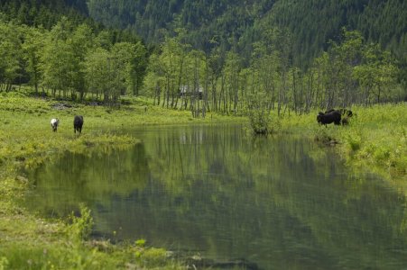 wta_2180_Maeanderstrecke_huettschlab_see-gross