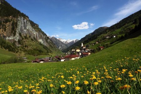 wta_2180_huettschlag_blumenwiese_grossarl-gross