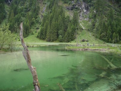 wta_2180_im_talschluss-schnapskalr-gross