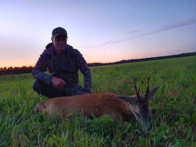wta_2191_Roedeer