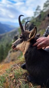 wta_2195_WhatsApp Image 2023-12-01 at 19.13.57