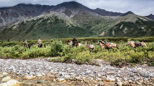 wta_2203_footer-bg-1