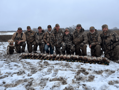 wta_2205_Snow ducks