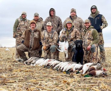 wta_2205_phire waterfowl
