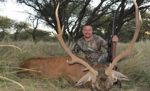 wta_2210_Stag