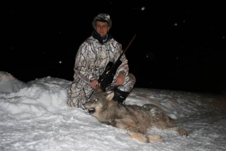 wta_2211_wolf6-1-800x534