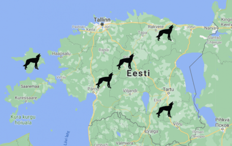 wta_2211_wolfhuntingmap-800x503