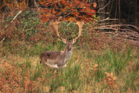 wta_2216_00050 - France Safaris