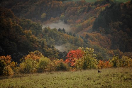 wta_2216_00054 - France Safaris