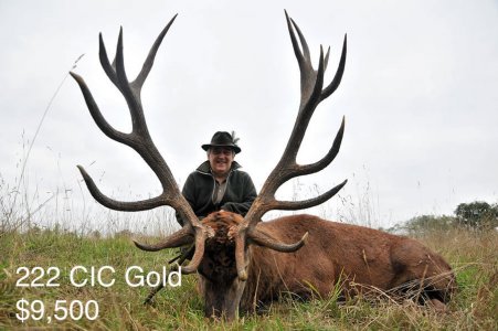 wta_2216_2013_10_Red Stag_222 CIC pts - 17 tines - Gold Medal_Guy G.