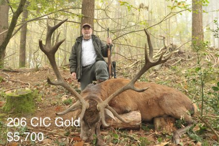 wta_2216_2013_41_Red Stag_206 CIC pts - 16 tines - Gold Medal_Robert L. (1)