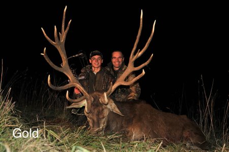 wta_2216_2013_47_Red Stag_202 CIC pts - 17 tines - Gold Medal_Carlos R. (1)