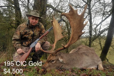 wta_2216_2013_50_Fallow Deer_195 CIC pts - Gold Medal_Jean Philippe D.