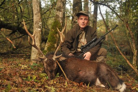 wta_2216_2014_15_Sika Deer_8 tines - Gold Medal_Sebastien A.