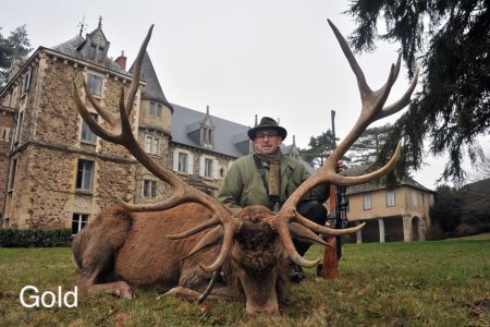 wta_2216_2014_30_Red Stag_198 CIC pts - 16 tines - Gold Medal_François G.